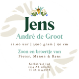 Origineel geboortekaartje cirkel bloemenkader blauw streep Achterkant