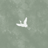 Stijlvol geboortekaartje tweeling met foto groen met vogels Achterkant