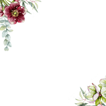 Trouwkaart helleborus bloemen op groen fluweel Achterkant