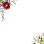 Trouwkaart helleborus bloemen op groen fluweel Achterkant