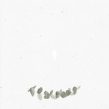 Uitnodiging communie met eucalyptus en foto's Achterkant