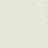 Uitnodiging verjaardag 80 jaar botanisch foto goudfolie Achterkant