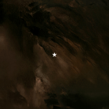 Zakelijk kerstkaartje thank you goud bruin waterverf  Achterkant