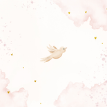 Zomers geboortekaartje met takjes, bloemen en duiven Achterkant