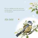 Bedankkaart met pimpelmeesje op een bloesemtak 3