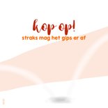 Beterschap meisje rolstoel 2