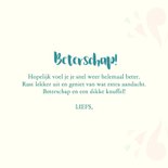Beterschap met ijsje 3