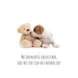 Beterschap - Puppy met knuffel 2