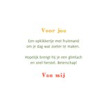 Beterschapkaart kikker fruitmand opkikkertje fruit grappig 3
