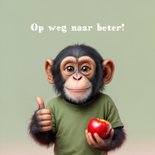 Beterschapskaart aap chimpansee bloemen beter humor 2