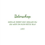 Beterschapskaart bee well soon bijtje bloemetje vrolijk 3