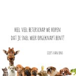 Beterschapskaart heal the world dieren 3