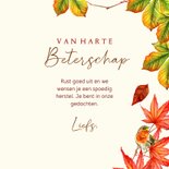 Beterschapskaart herfst roodborstjes 3