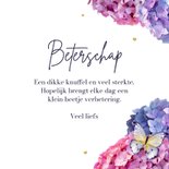 Beterschapskaart hortensia bloemen paars vlinders beterschap 3