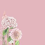 Beterschapskaart hortensia en dahliabloemen 2