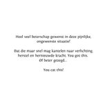 Beterschapskaart humoristische illustratie van kat met pijn 3