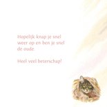 Beterschapskaart kat in de lappenmand 3