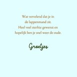 Beterschapskaart - Kat rust uit in een boom 3
