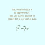 Beterschapskaart kat rust uit in een boom 3