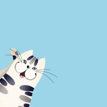 Beterschapskaart - Knuffelige katten 2