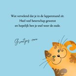Beterschapskaart - Knuffelige katten 3