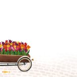 Beterschapskaart met bakfiets met fruit 2