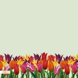 Beterschapskaart met klomp en tulpen 2