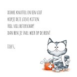 Beterschapskaart poes jij komt weer op je pootjes terecht 3