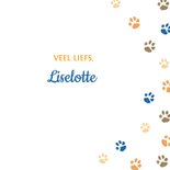 Beterschapskaart rustende kat 3