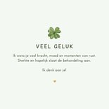 Beterschapskaart veel geluk klavertje lieveheersbeestje 3