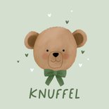 Beterschapskaartje beer groene strik hartjes dikke knuffel 2