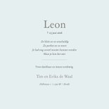 Blauw rouwkaartje voor een sterrenkindje met lijnillustratie 3