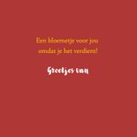 Bloemenkaart - Rode margriet 3
