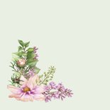 Condoleance kaart cosmea bloemen 2