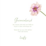 Condoleance kaart cosmea bloemen 3