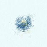 Condoleance kaart met blauwe aquarel chrysant 2