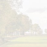 Condoleancekaart bomen in een herfstlandschap 2