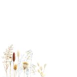 Condoleancekaart droogbloemen 2