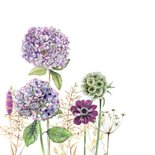 Condoleancekaart hortensia's met vlinder 2