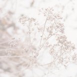Condoleancekaart in gedachten bij jullie natuurfoto 2
