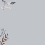 Condoleancekaart meeuwen boven de zee 2