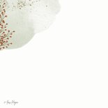 Condoleancekaart met vos en vlinder 2