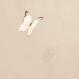 Condoleancekaart met wegvliegende vlinder 2