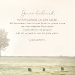 Condoleancekaart nevelig weidelandschap 3