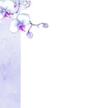 Condoleancekaart orchidee vlinder 2