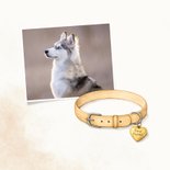 Condoleancekaart overlijden huisdier halsband 2
