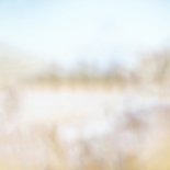 Condoleancekaart riethalm met neutrale achtergrond beige Achterkant