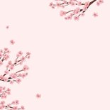 Condoleancekaart sterkte bloemen bloesem roze 2