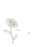 Condoleancekaart sterkte line art gerbera bloem neutraal 2