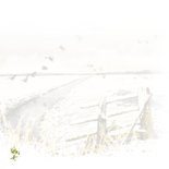 Condoleancekaart winters weiland boeren hek 2